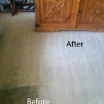 Bedroom-Carpet-Cleaning-San-Leandro