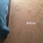 Bedroom-Carpet-Cleaning-San-Leandro-A