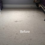 Bedroom-Wall-to-Wall-Carpet-Cleaning-San-Leandro-A
