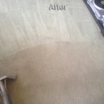 San-Leandro-Carpet-Cleaning-Company