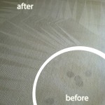 San-Leandro-Wine-Stain-Carpet-Cleaning