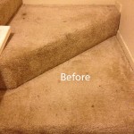 Stairs-Carpet-Cleaning-San-Leandro-A