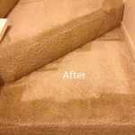 Stairs-Carpet-Cleaning-San-Leandro-B