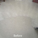 Wall-To-Wall-Carpet-Cleaning-San-Leandro